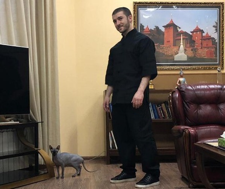 Пропавший кот Бари Алибасова нашёлся