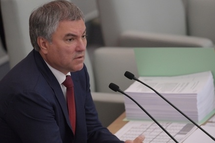 Володин призвал депутатов «не сотрясать воздух» на трибуне Госдумы