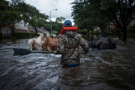 Число жертв наводнения в Техасе достигло 30 человек