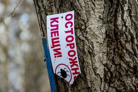 Биолог предупредил о пробуждении клещей в Московском регионе