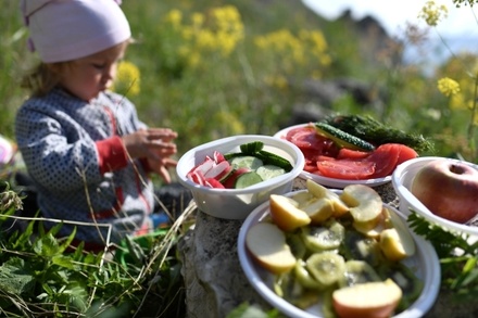В Минздраве предостерегли родителей от вегетарианской диеты у детей